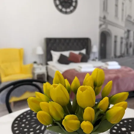 Zamstudio Zamenhofa 4 * Краков